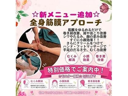 ミコットの写真