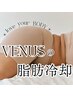 トレンド☆【脂肪冷却リポクール】リピーターさま用の2カップ分クーポン