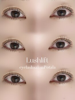 ポタラ(Potala)/上下パーマ