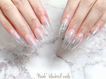ノアブルーバードネイルズ(Noah' bluebird .nails)/ダイアミ/フレーク仕上げ