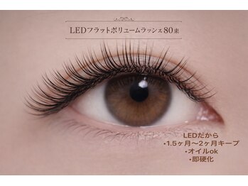 チック(chick)/LEDフラットボリューム80束