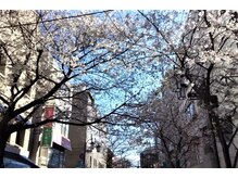 成城健康整体院 & ニュートラルスタイル/また、お待ちしています