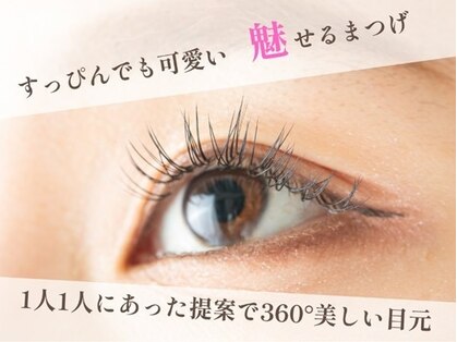 レプレの写真