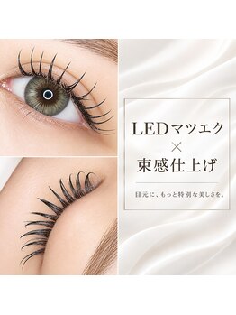 サロンド アンジュリーク(salon de Anjulique)/LEDマツエク