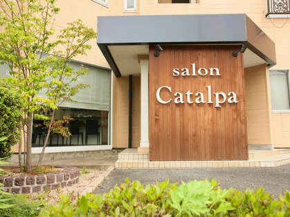 カタルパ(Catalpa)の写真