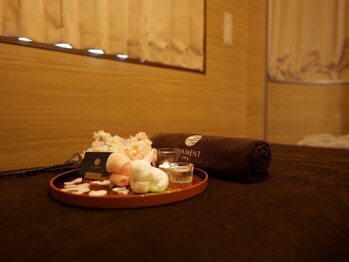 フィラメントスパ 恵比寿店(Filament SPA)の写真/【癒しの空間】完全個室プライベート空間で心身を癒すオイルマッサージ。特別な日にもおススメです♪