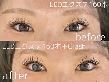 ジョリレーヌ(Jolie Reine)/フラットラッシュ160本＋Olash