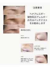 アイラッシュ ルネル(Eye Lash Lunelle)/ハーブタンニング、翌日