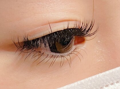 ホアロハ(HoAloha)の写真