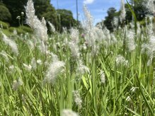 ユレル(YurerU)/自然界に溢れる美しいゆらぎ
