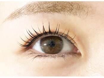 テイラー(Taylor)/ラッシュリフト SONE