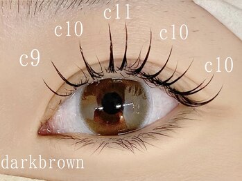 ネリネ 博多(nerine)/パリエク70本