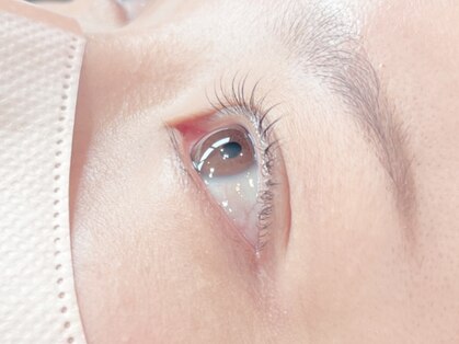 シャーム(scharm)の写真