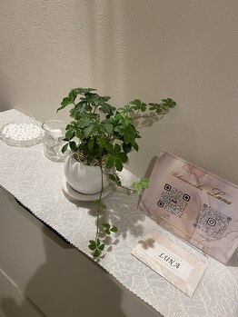 ルナ 新宿御苑店(LUNA)/