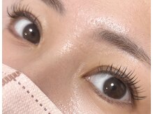 ダリア(Dahlia)/フラット１２０本★