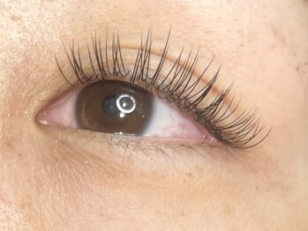 コボアイラッシュ(COVO.eyelash)/LEDエクステ