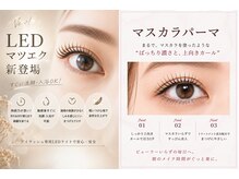 フラワー(FLOWER)の雰囲気（NEW★話題の【LED】がオプション1500円　大人気マスカラパーマ）