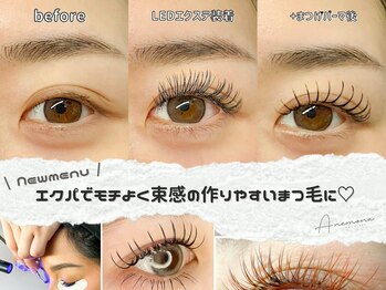 アネモナ(ANEMONA)/