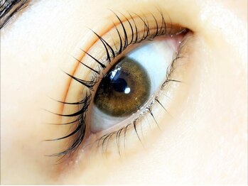 アヴィー 用賀(Avie)の写真/【印象大幅UP!!】オトナ女性の来店多数★自まつ毛に合わせ提案する、似合わせ『まつげパーマ』が大人気♪