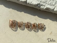 デリエ(Delie)/FOOT BASIC 