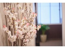 サクラ(SAKURA)/■SAKURA