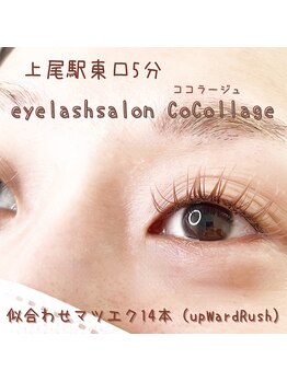 ココラージュ(CoCollage)/シアブラウン 上尾