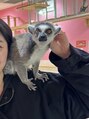 ミライ小顔 東銀座本店(MIRAI小顔) 動物に癒されています!特にワオキツネザルにハマっています!