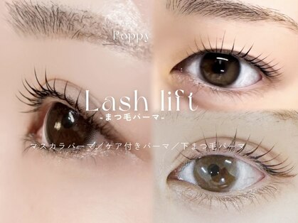 ポピー(POPPY)の写真