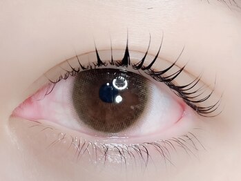 チュリップサカエ(Tulipe sakae)/まつげパーマ