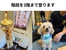 チャナスパ(chana spa)/階段を3階まで登ります