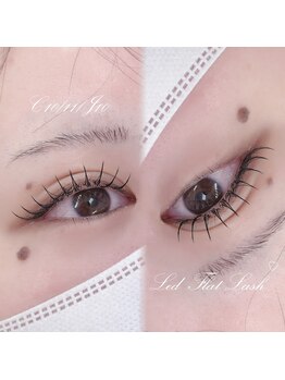 プティ アンジュ(Petit Ange)/＊フラットラッシュ＊