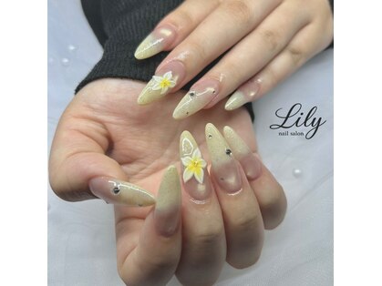 リリー(Lily)の写真