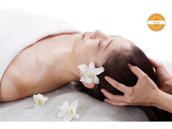 アクネ菌ケア専門サロン ベネーブ 武蔵小杉店/ヘッディーマルマ