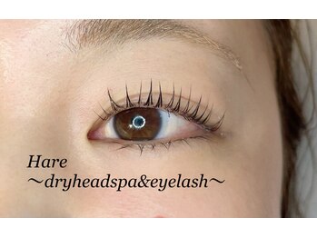 ハレ(Hare)/立ち上げパーマ