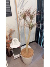 ビナリモア(B.enari-Moa)/店内雰囲気です♪