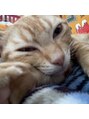 ルノア 神戸三宮院(LUNOA)&nbsp;実家でネコちゃんを2匹飼ってて毎回帰省が楽しみです！