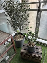 ココリーフ(Cocoleaf)/玄関前