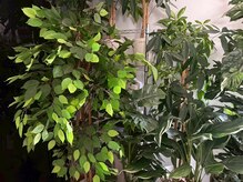 プルケルスパ(PULCHER SPA)/え、なんの部屋！？