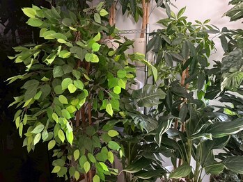 プルケルスパ(PULCHER SPA)/え、なんの部屋！？