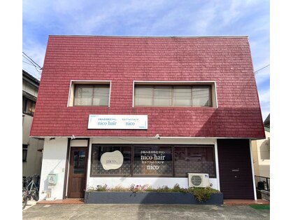 ニコ(nico)の写真