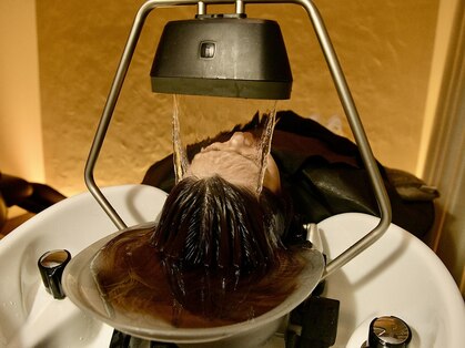 リリー(Lily.)の写真