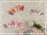 【リピート様限定】アートを楽しみたい方！ジェル+お好きなアート4本込¥7800