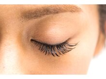 ホワイトジュエル(white jewel)/フラットラッシュ/国立