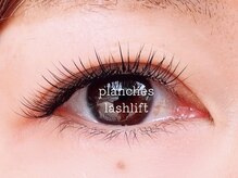 ウィスタリア フィールドプランシュ(WISTARIA FIELD-PLANCHES)/3dボリュームラッシュ