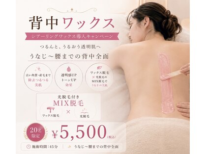 ミシル(Mishil)の写真