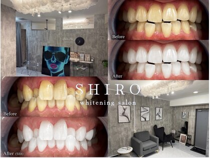 シロ 新宿店(SHIRO)の写真