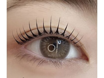 グローバルアイズ(Global Eyes)の写真