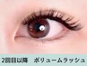 ２回目以降★ボリュームラッシュ300本(100束前後)＜ふさふさ仕上がり＞9500円