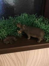 スマイル(Smile)/各個室にも！