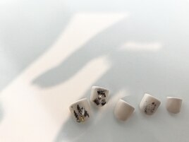 Fマットレオパード